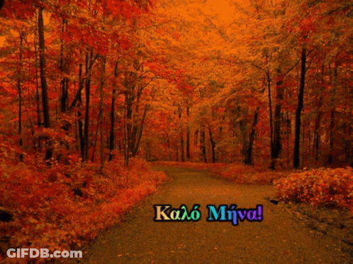 Forest With Kalo Miva Text GIF