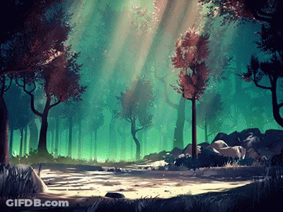 Forest With Sun Shining Through Trees GIF