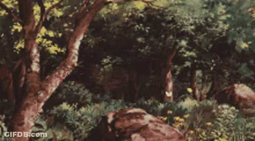 Forest With Trees And Rocks GIF