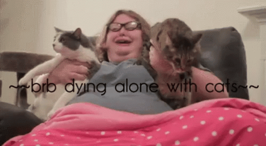 Forever Alone Cat Lady GIF