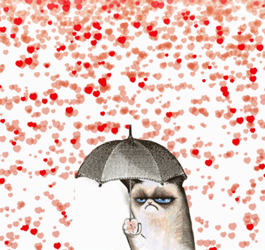 Forever Alone Cat Raining Hearts GIF