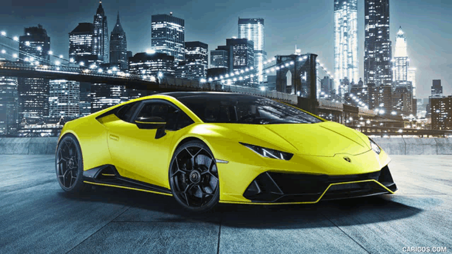 Forex Lifestlye Lambo Living Meme GIF