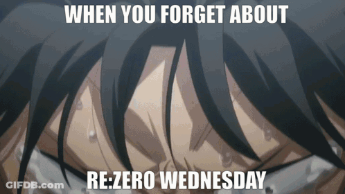 Forget About Re Zero Wednesday Meme GIF