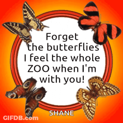 Forget The Butterflies I Feel The Whole Zoo When I'm With You GIF
