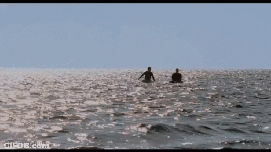 Forgetting Sarah Marshall Sailing At Sea GIF