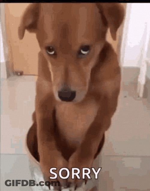 Forgive Me Guilty Doggo GIF