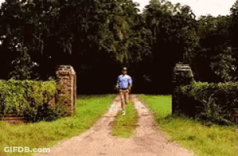 Forrest Gump Omw GIF