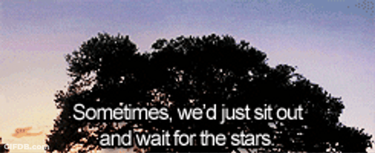 Forrest Gump Romantic Movie Quote GIF
