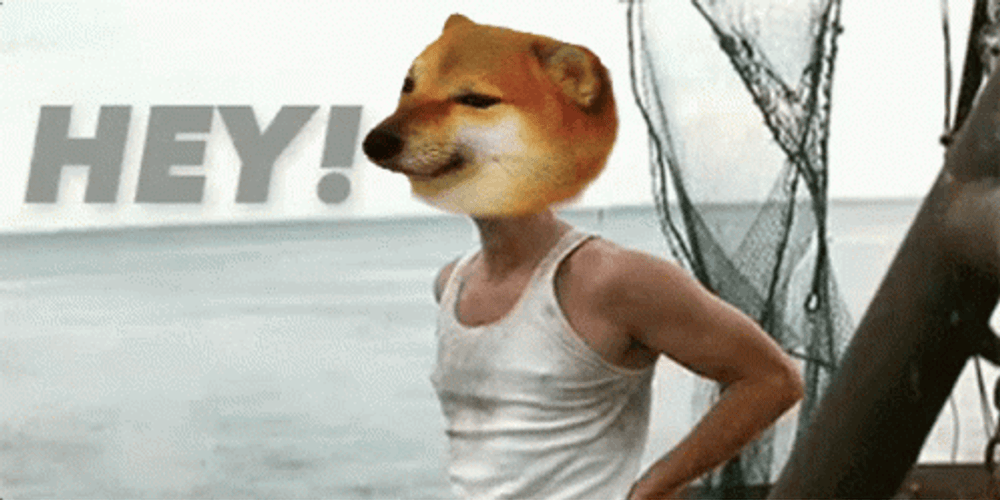 Forrest Gump Wave Doge GIF