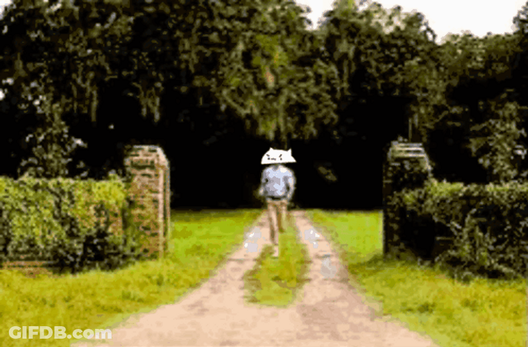 Forrest Gump With Bongo Cat Head Running GIF