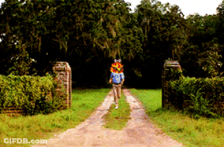 Forrest Gump With Red Bird Head Running GIF