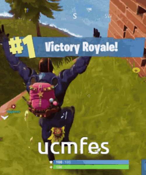 Fortnite Battle Royale UCMFES Victory Royale GIF