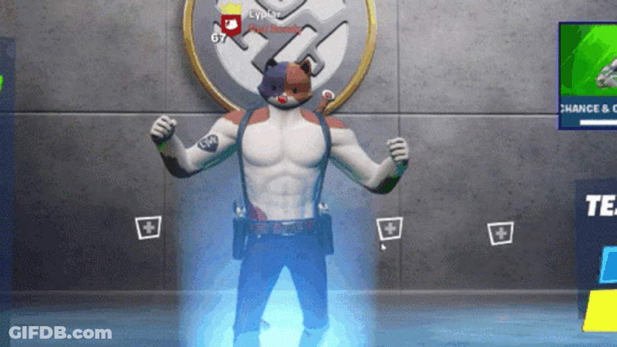 Fortnite Default Dance Meowscle GIF