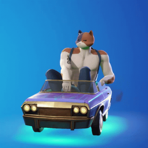 Fortnite Meowscles Lil Bounce Emote GIF