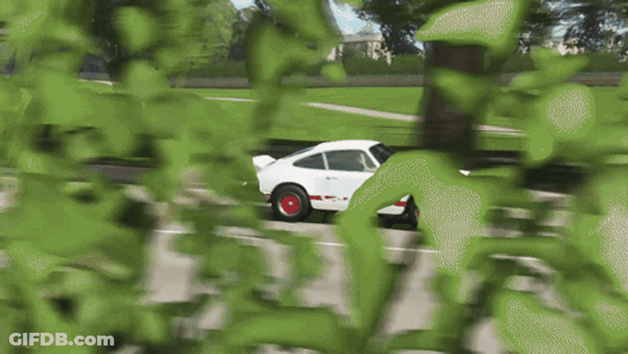 Forza Horizon 4 Porsche 911 Carrera RS GIF