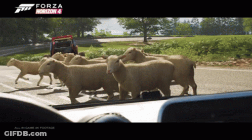 Forza Horizon 4 Sheep Walking On Road GIF