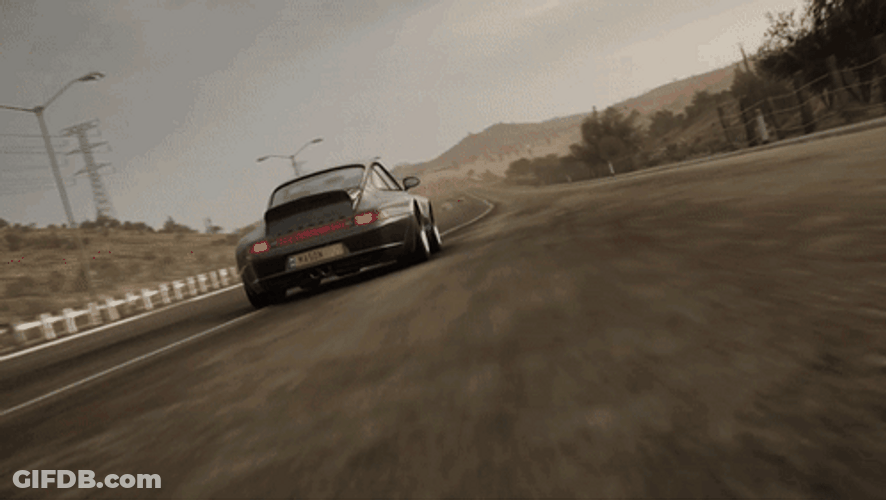 Forza Horizon 5 Porsche 911 Carrera 2 GIF