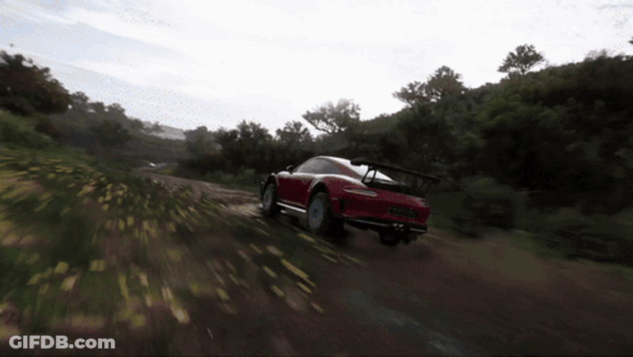 Forza Horizon 5 Porsche 911 GT3 RS Offroad GIF