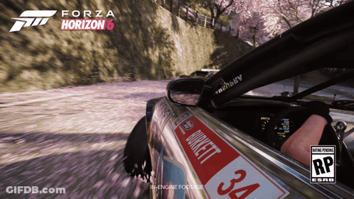 Forza Horizon 6 Car Driving Down Road GIF