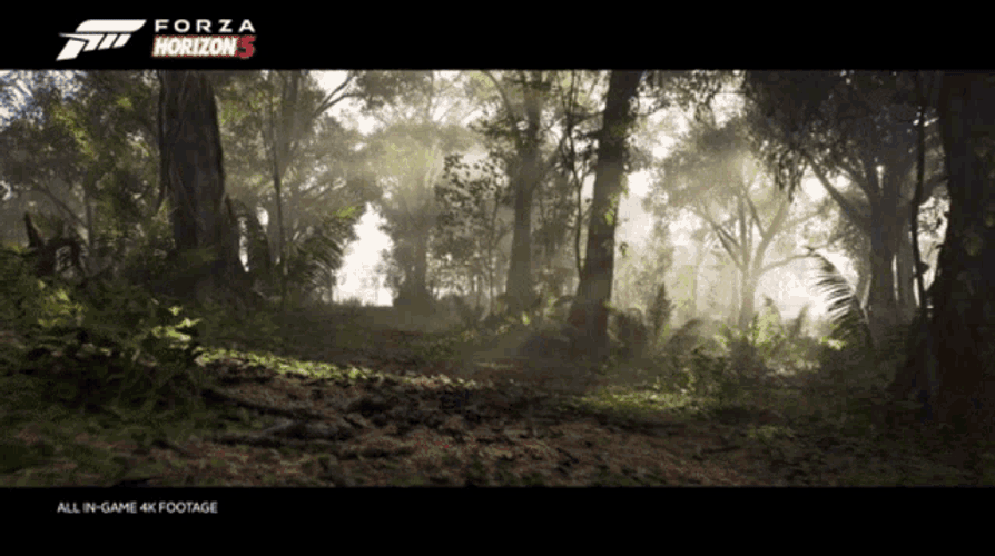 Forza Horizon5 Land Rover Defender110x GIF