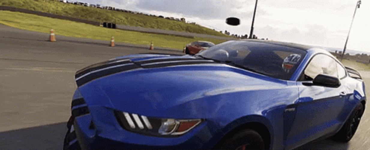 Forza Motorsport 7 Cool Car Designs GIF