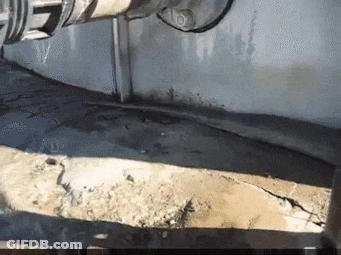 Found Dead Anaconda Snake GIF