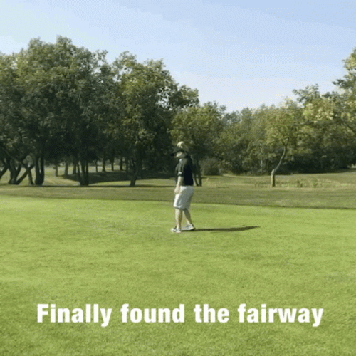 Found The Fairway In Golf Course GIF