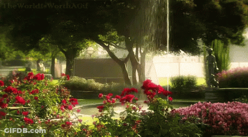 Fountain In Garden Saying The World Is Worth A Lot GIF