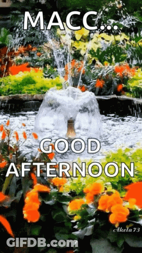 Fountain With Good Afternoon GIF