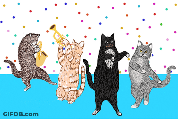 Four Animated Cute Cat Dancing GIF