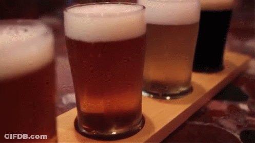 Four Glasses Of Beer On Wooden Shelf GIF