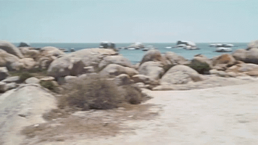 Four Headed Shark In Sharknado GIF