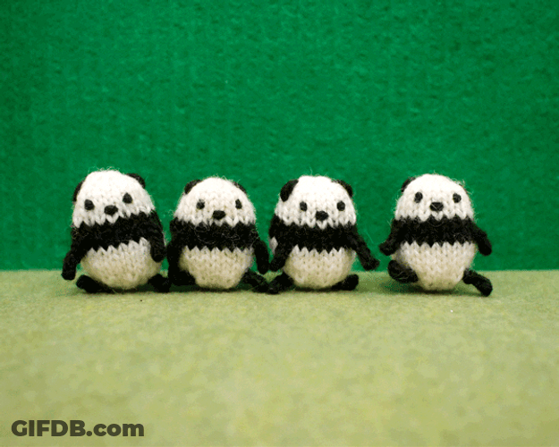 Four Panda Toys Bow GIF