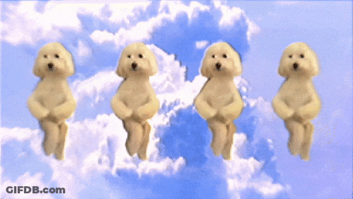 Four Small Dogs Dancing In Sky With Clouds GIF