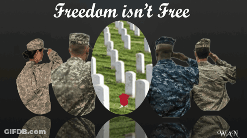 Four Soldiers Salute At Cemetery Freedom Isn't Free GIF