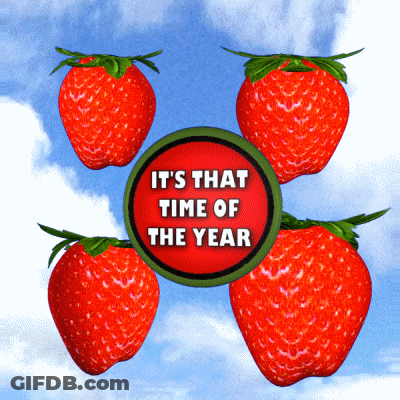 Four Strawberries Surrounding Red Sign Saying It's That Time Of The Year GIF