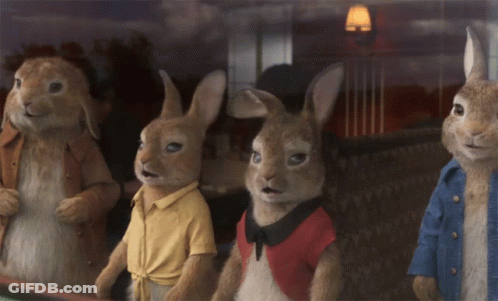 Four Stuffed Rabbits Looking Out Window GIF