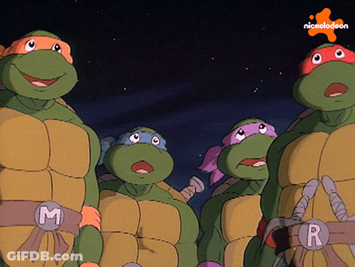 Four Teenage Mutant Ninja Turtles Standing Together GIF