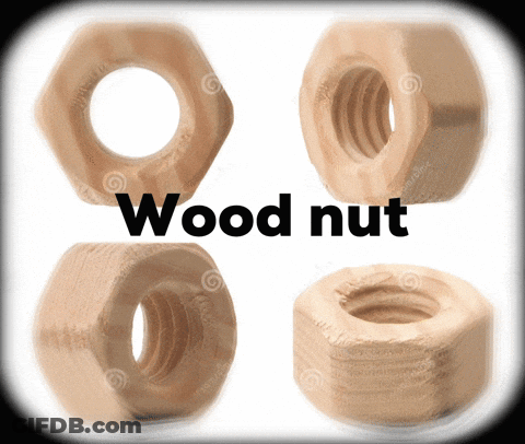 Four Wooden Nuts With Text Wood Nut GIF