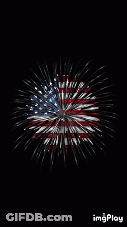 Fourth Of July GIF