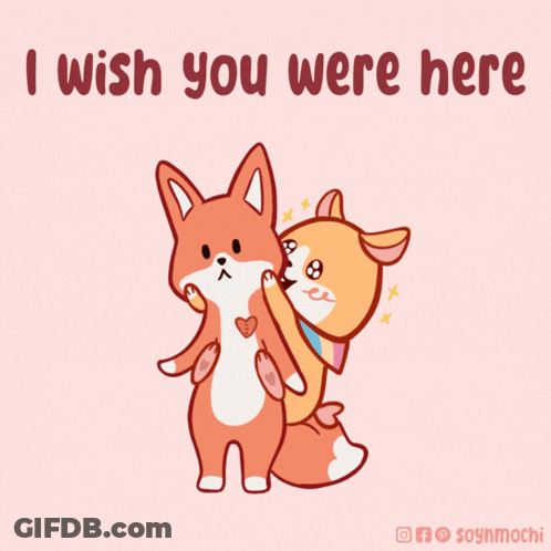 Fox And Dog Saying I Wish You Were Here GIF