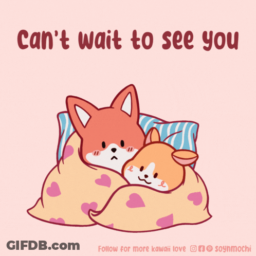 Fox And Dog Wrapped In Blanket Can't Wait To See You GIF