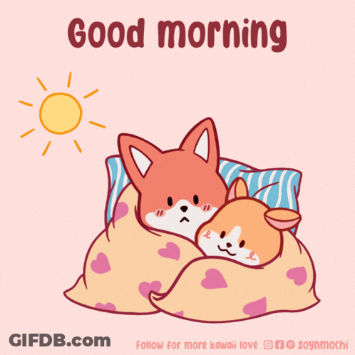 Fox And Dog Wrapped In Blanket Good Morning GIF