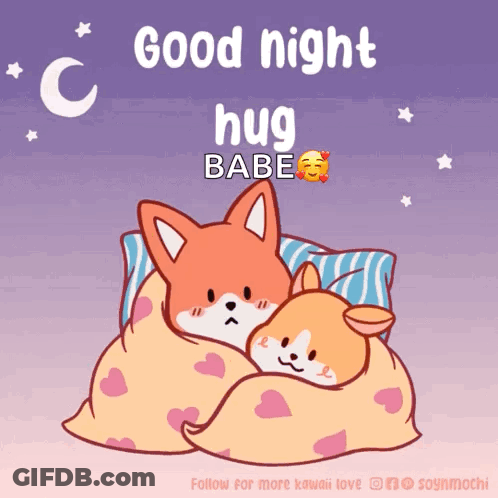 Fox And Dog Wrapped In Blanket Good Night Hug Babe GIF