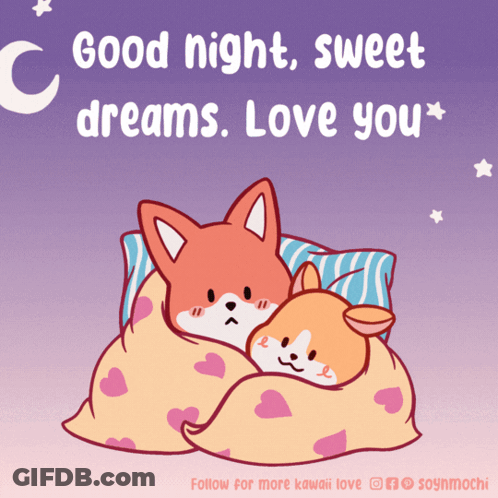 Fox And Dog Wrapped In Blanket Good Night GIF