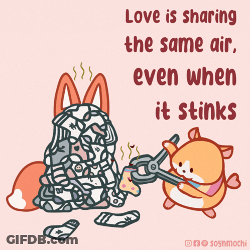 Fox And Hamster Love Is Sharing The Same Air Even When It Stinks GIF