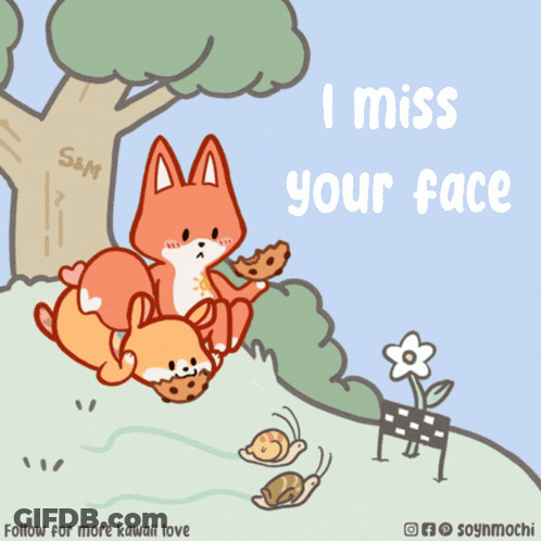 Fox And Rabbit Saying I Miss Your Face GIF