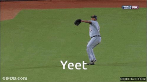 Fox Baseball Game With Yeet GIF