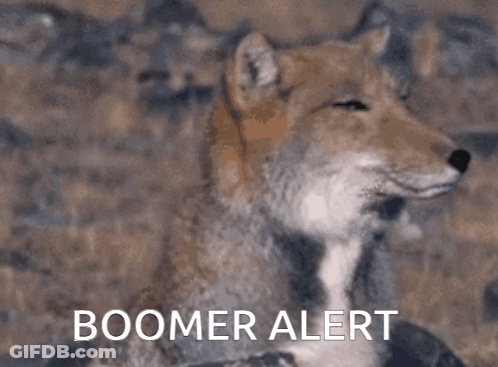 Fox Boomer Alert GIF
