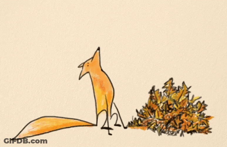 Fox Catches Falling Leaves GIF